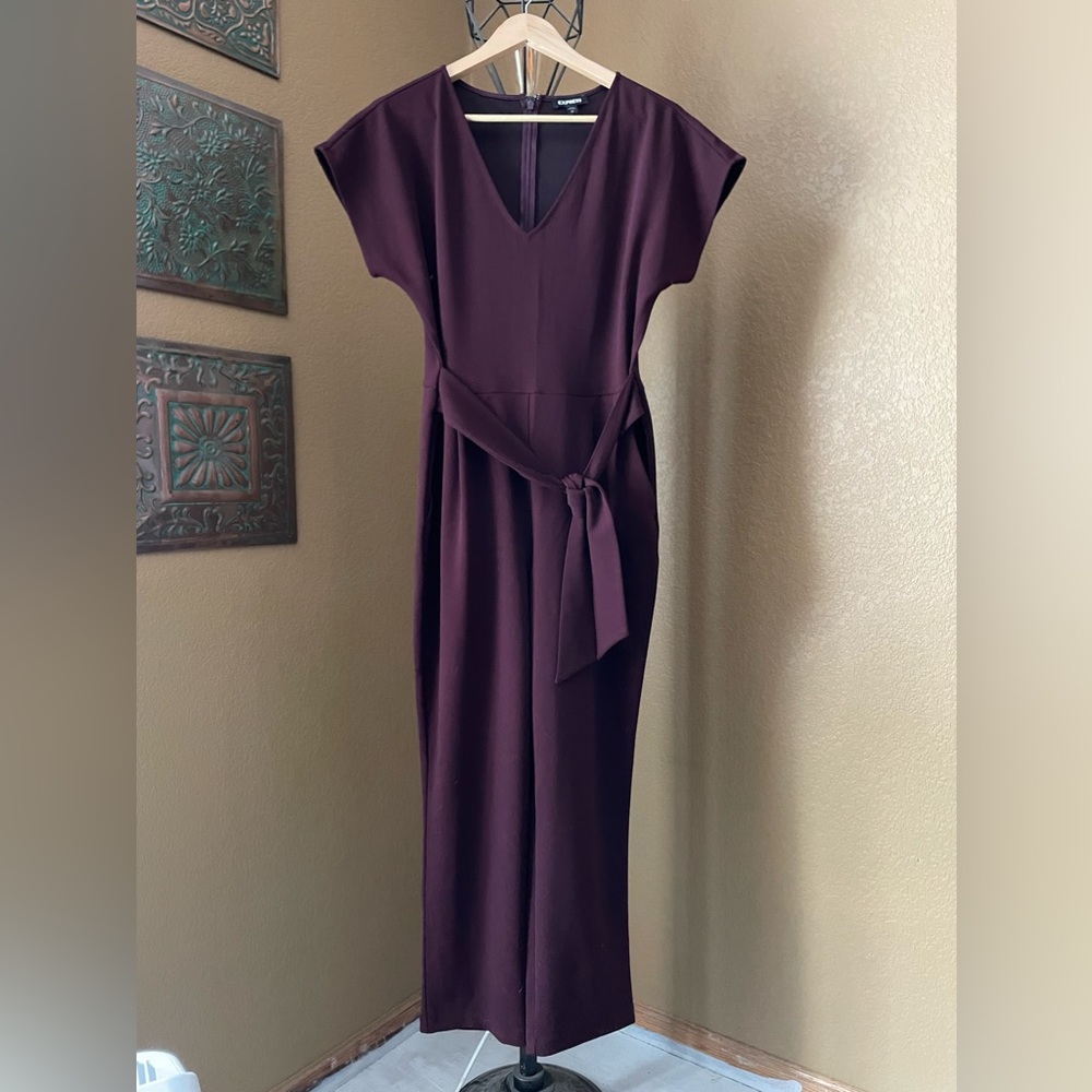 Express v-neck, tie waist jumpsuit - Beautiful deep plum color. Size M